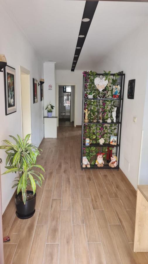 Hotel Darda Kamez Екстериор снимка